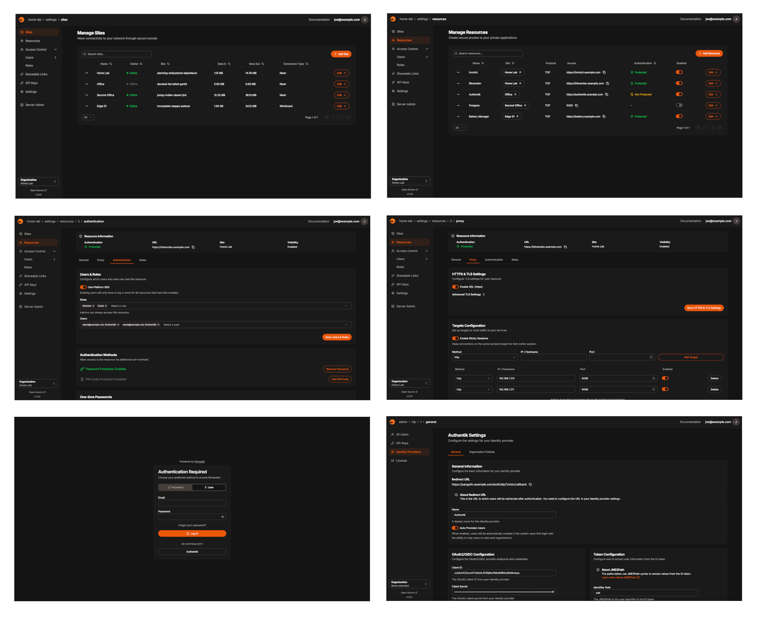 Pangolin fully managed open source service | OctaByte.io screenshot